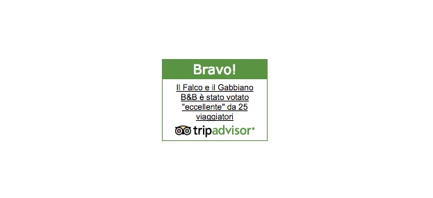 tripadvisor_bravo_ilfalcoeilgabbiano